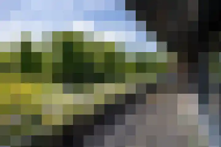 De Zeilmakerij 14 Leusden thumbnail 15