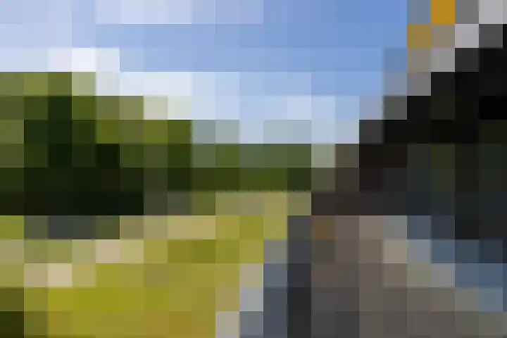 De Zeilmakerij 14 Leusden thumbnail 16