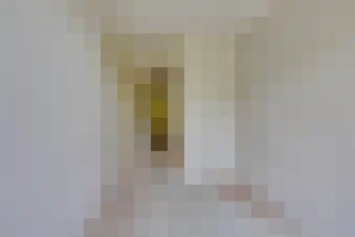 De Zeilmakerij 14 Leusden thumbnail 20