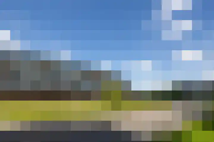 De Zeilmakerij 14 Leusden thumbnail 27