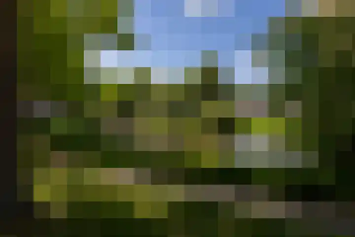 De Zeilmakerij 14 Leusden thumbnail 29