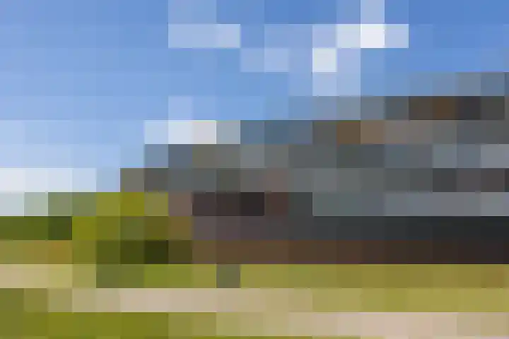 De Zeilmakerij 14 Leusden thumbnail 31