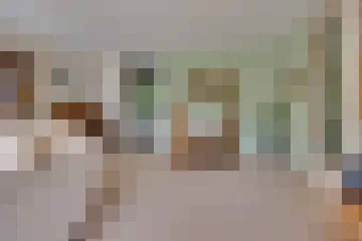 De Zeilmakerij 18 Leusden thumbnail 10