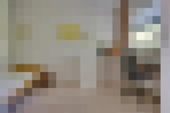 De Zeilmakerij 18 Leusden thumbnail 15