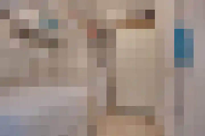 De Zeilmakerij 18 Leusden thumbnail 21