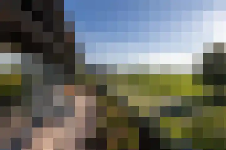 De Zeilmakerij 18 Leusden thumbnail 22