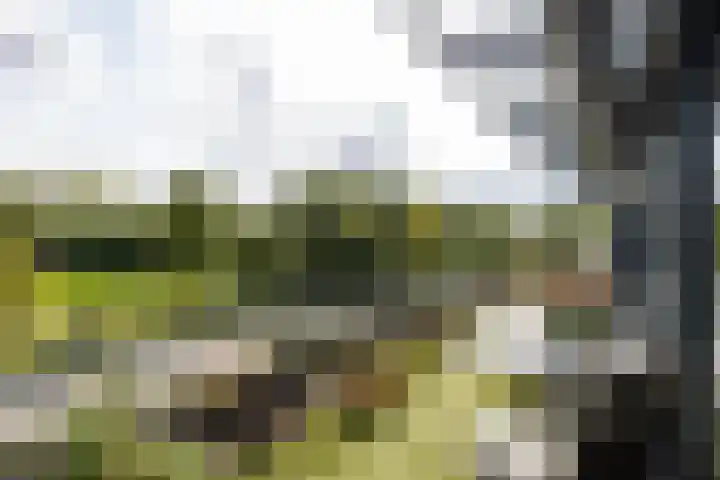 De Zeilmakerij 21 Leusden thumbnail 23