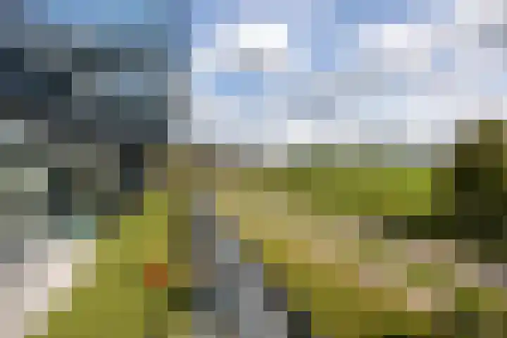 De Zeilmakerij 21 Leusden thumbnail 24