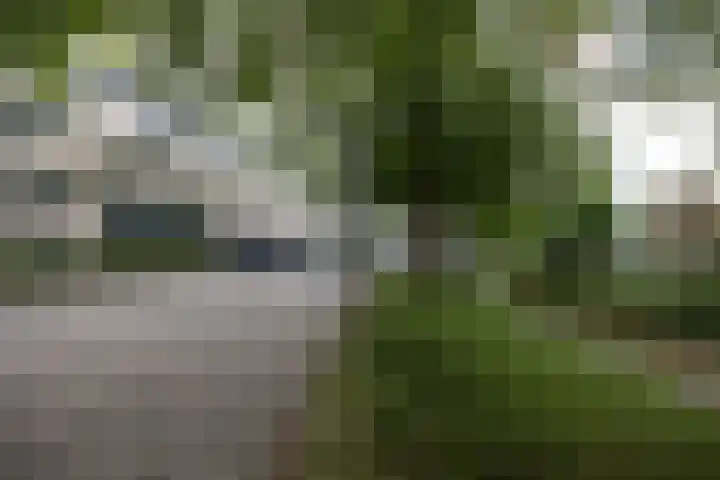 De Zeilmakerij 21 Leusden thumbnail 27