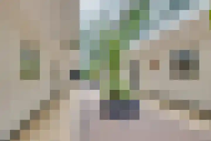 De Zeilmakerij 71 Leusden thumbnail 4