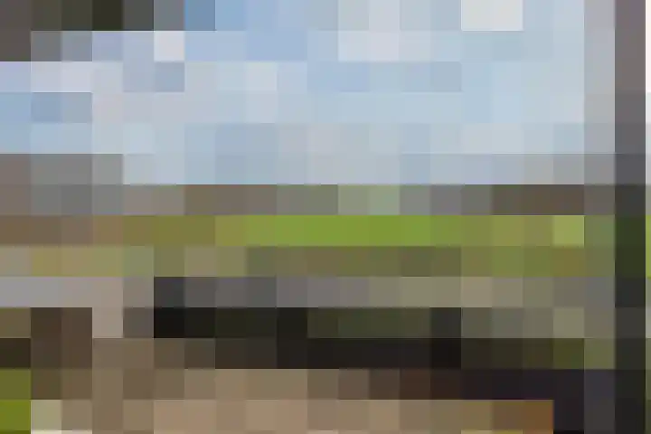 De Zeilmakerij 8 Leusden thumbnail 23