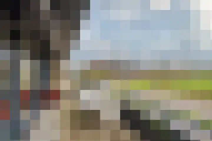 De Zeilmakerij 8 Leusden thumbnail 24