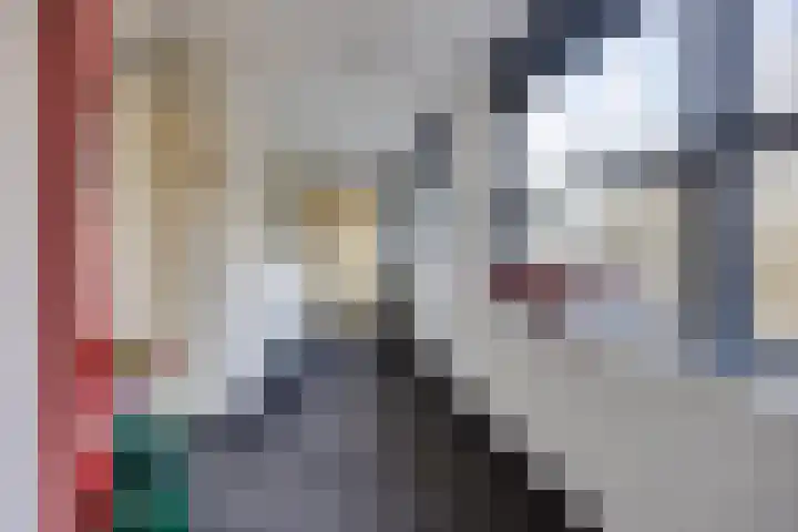 De Zeilmakerij 8 Leusden thumbnail 4