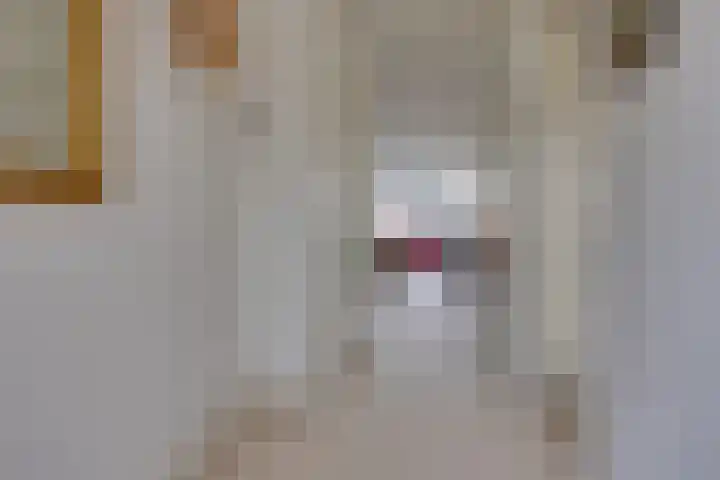 De Zeilmakerij 8 Leusden thumbnail 5