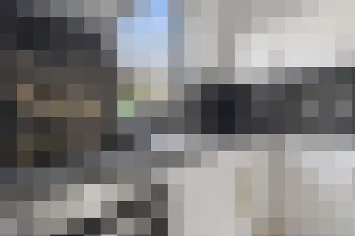 De Zeis 6 Arnhem thumbnail 10