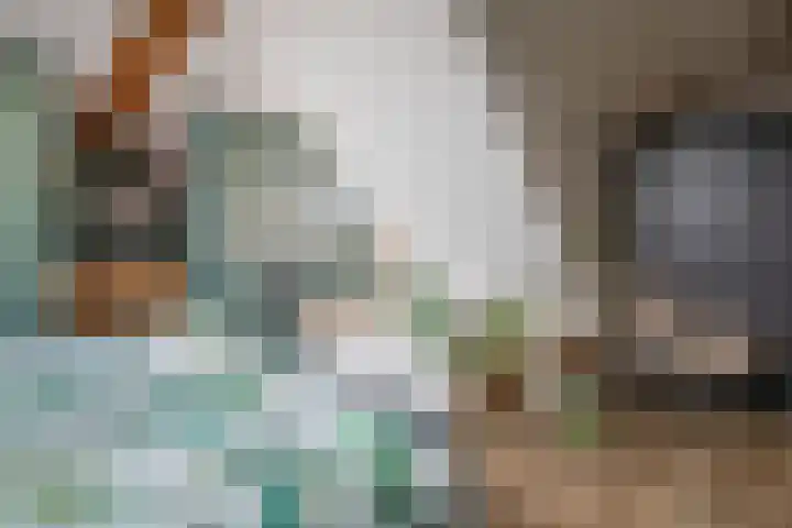 De Zes 11 Den Burg thumbnail 14
