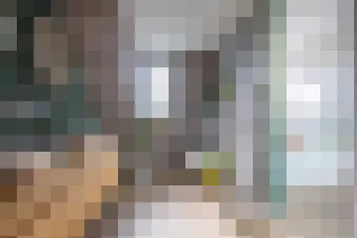 De Zes 11 Den Burg thumbnail 15
