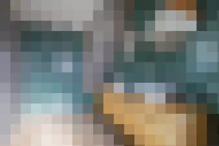 De Zes 11 Den Burg thumbnail 17