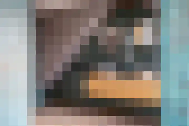 De Zes 11 Den Burg thumbnail 18
