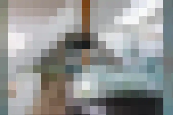 De Zes 11 Den Burg thumbnail 19