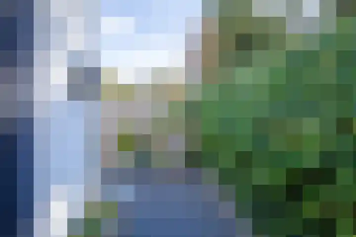 De Zes 11 Den Burg thumbnail 39