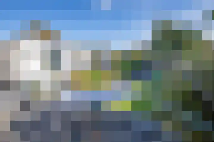 De Zes 11 Den Burg thumbnail 42