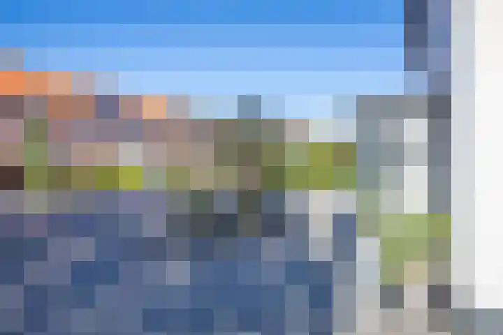De Zes 11 Den Burg thumbnail 44