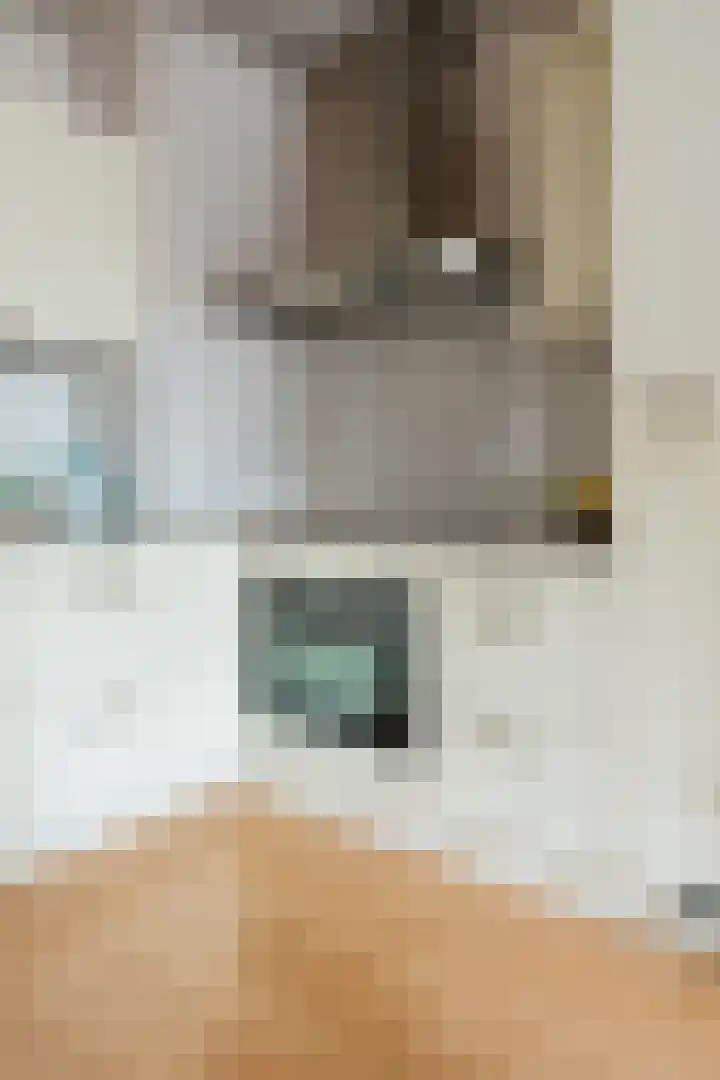 De Zetter 8 Wormerveer thumbnail 12