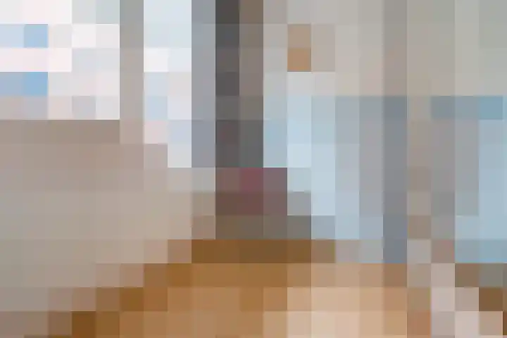 De Zetter 8 Wormerveer thumbnail 19