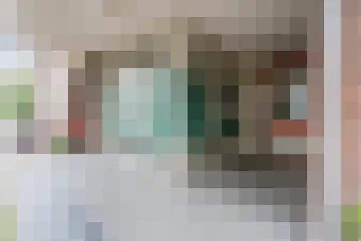 De Zetter 8 Wormerveer thumbnail 20