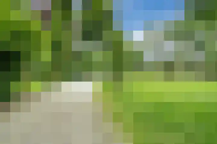 De Zetter 8 Wormerveer thumbnail 28
