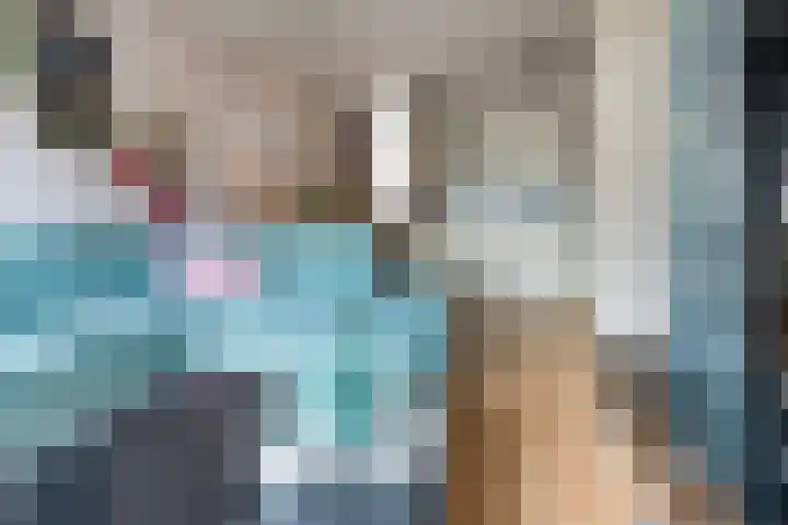 De Zetter 8 Wormerveer thumbnail 7