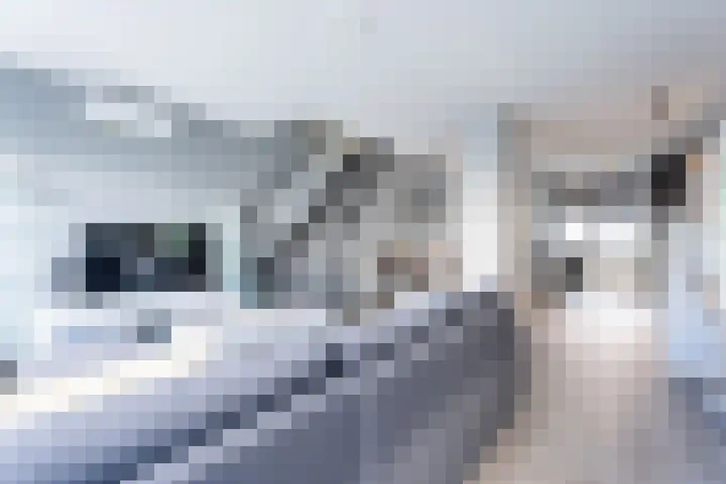 de Zicht 11 Hellevoetsluis thumbnail 13