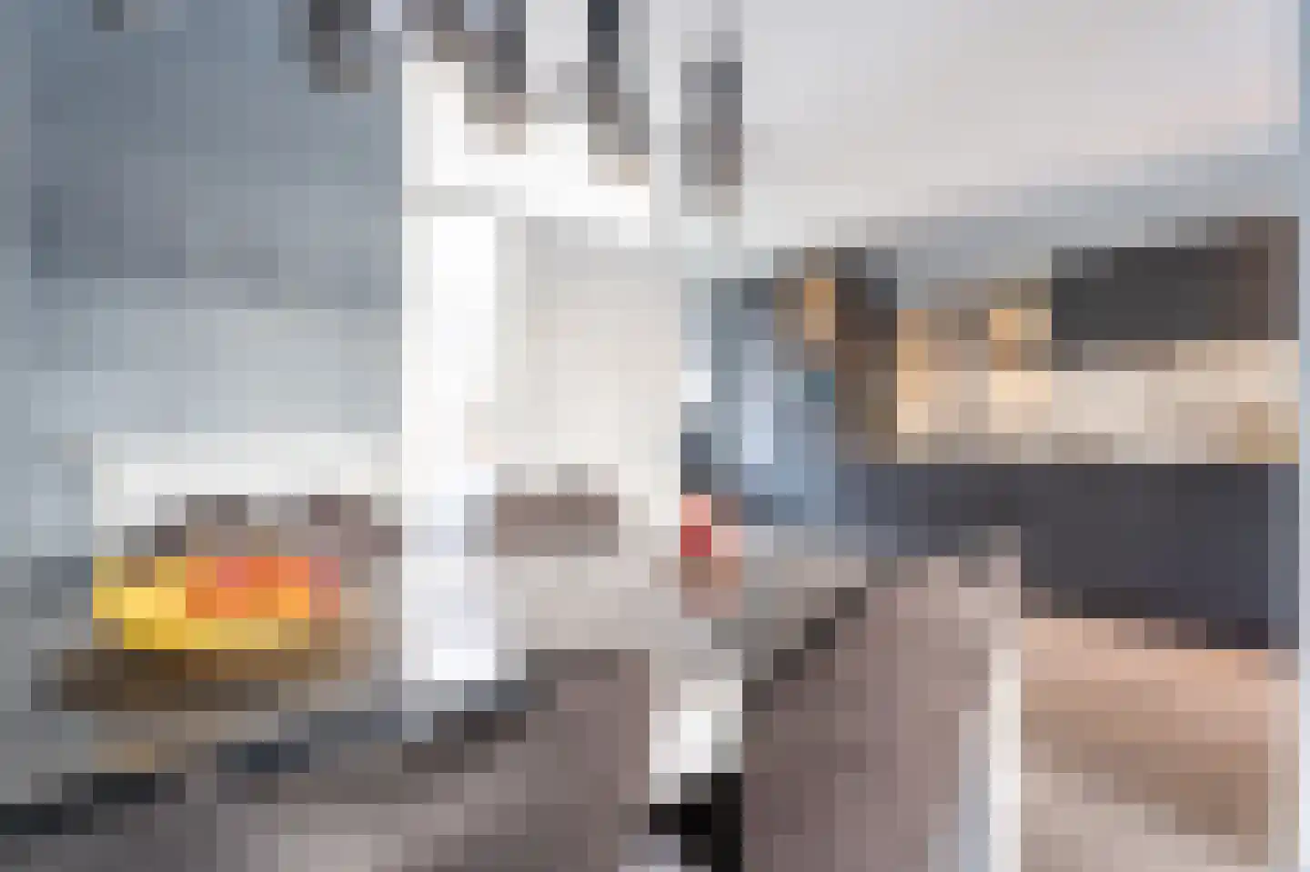 de Zicht 11 Hellevoetsluis thumbnail 15