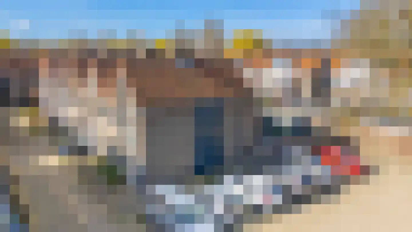 de Zicht 11 Hellevoetsluis thumbnail 8