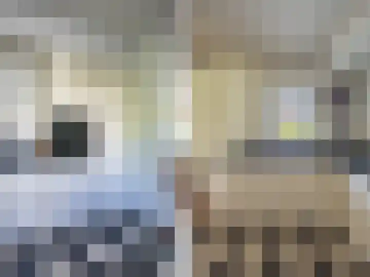 De Zicht 26 Brummen thumbnail 10