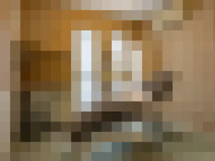 De Zicht 26 Brummen thumbnail 17