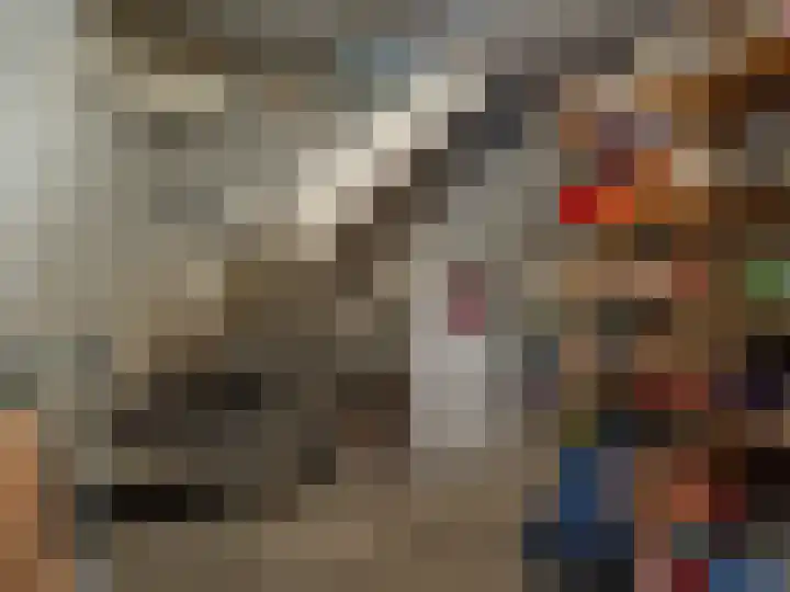 De Zicht 26 Brummen thumbnail 36