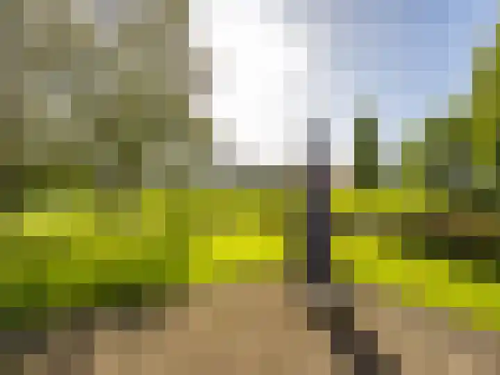 De Zicht 26 Brummen thumbnail 38