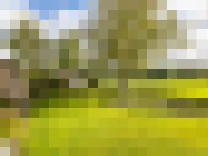 De Zicht 26 Brummen thumbnail 39