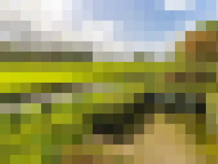 De Zicht 26 Brummen thumbnail 41