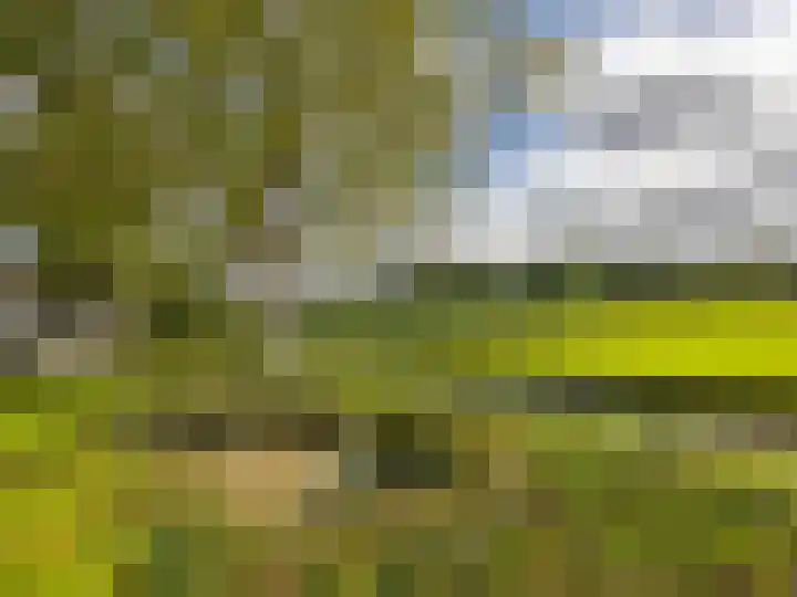 De Zicht 26 Brummen thumbnail 42