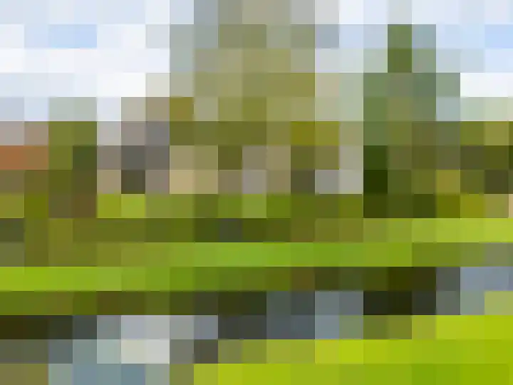 De Zicht 26 Brummen thumbnail 45