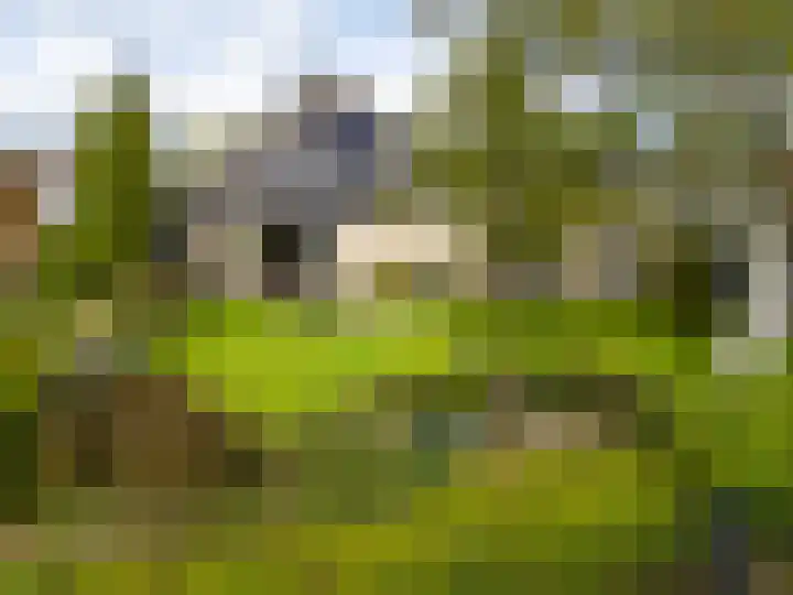 De Zicht 26 Brummen thumbnail 47