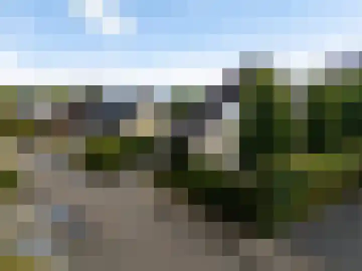 De Zicht 26 Brummen thumbnail 51