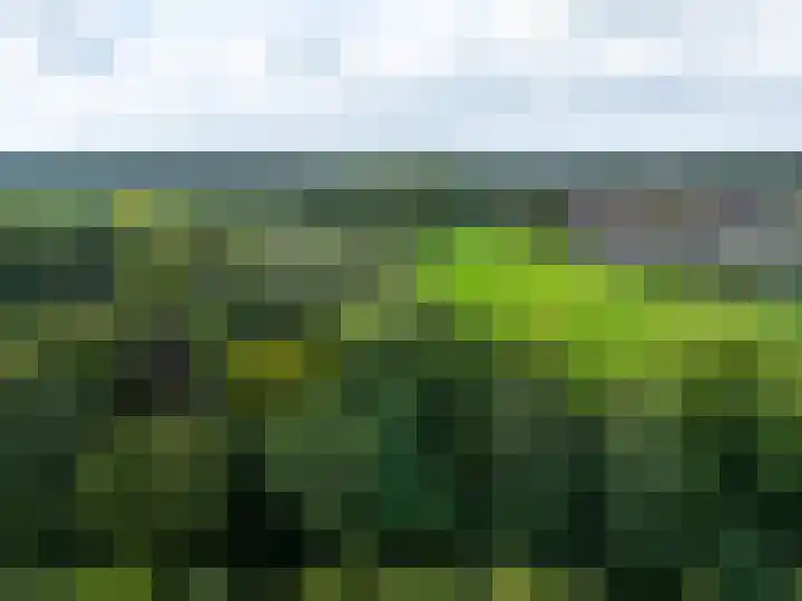 De Zicht 26 Brummen thumbnail 57