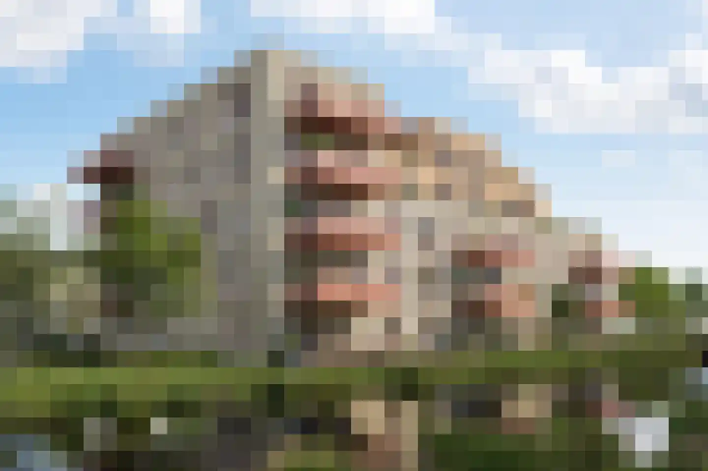 De Zijde in Bergschenhoek