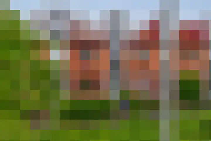 De Zijl 3 Pijnacker