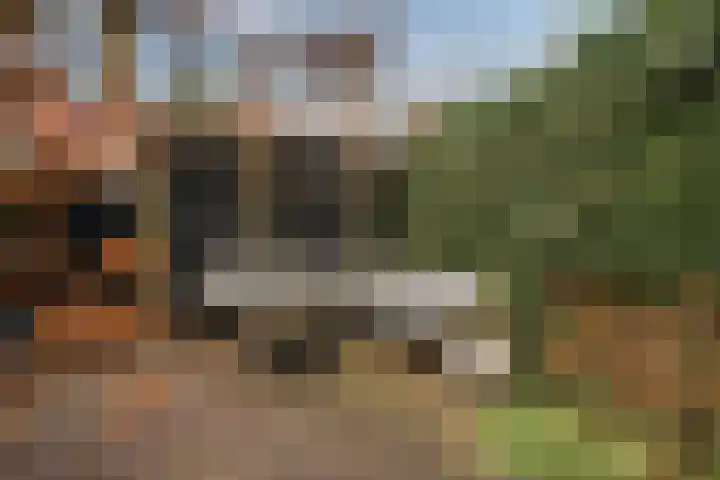De Zon 16 Amstelveen thumbnail 35