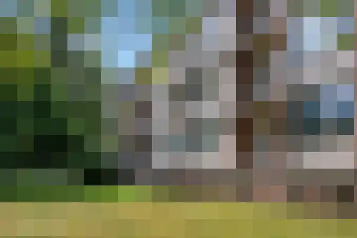 De Zoom 17 en Ede